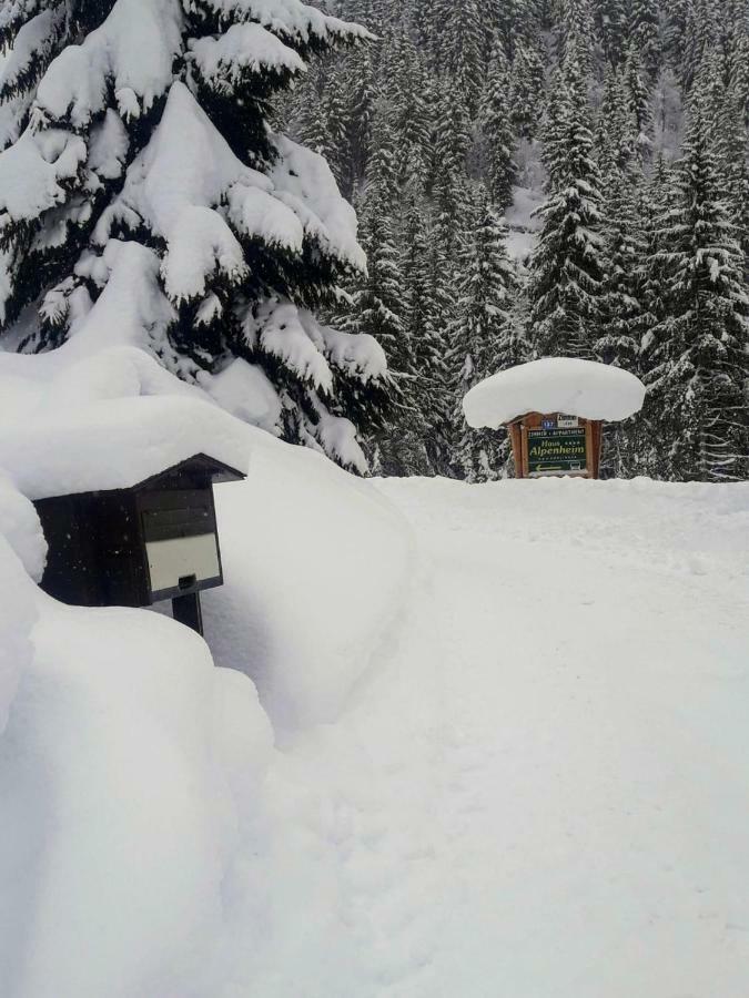 Hotel Haus Alpenheim Flachau Exterior foto